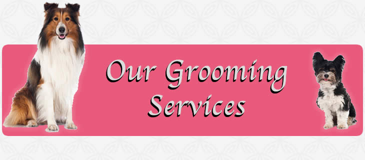 dog grooming services near me